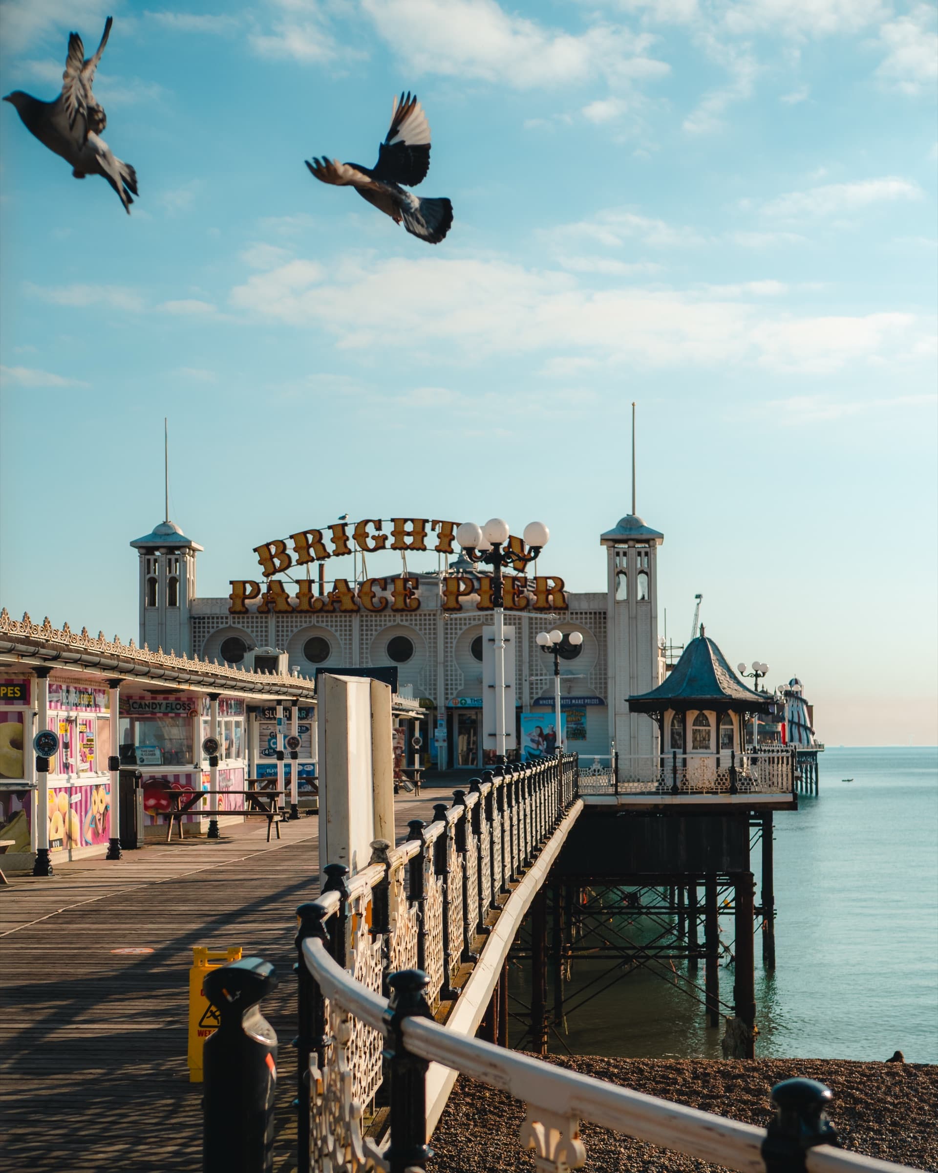 Gulls over the Palace Pier